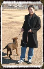 pets3.jpg